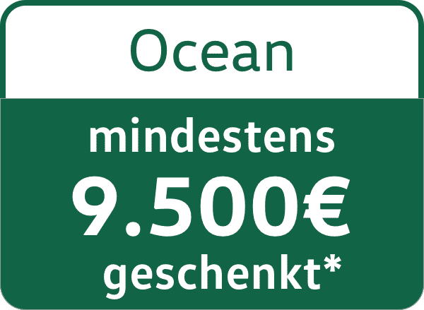 VW California Ocean 9500€ Messerebatte