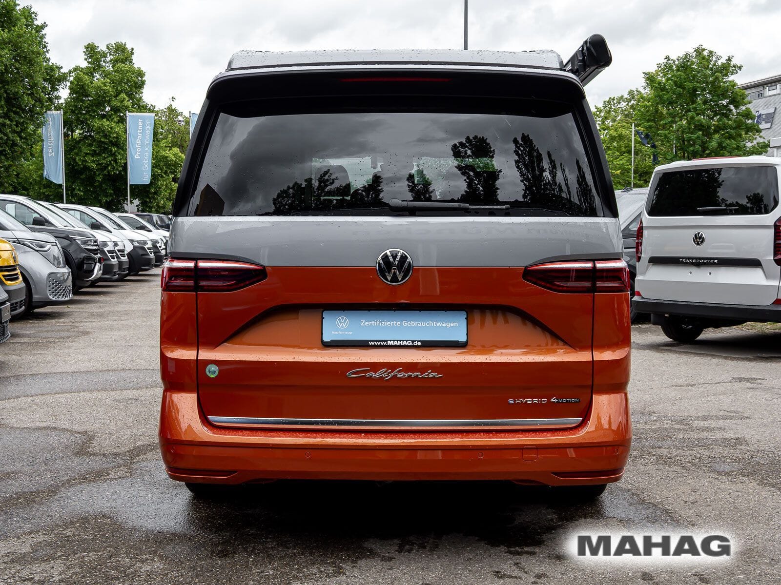Fahrzeugabbildung Volkswagen California Coast
