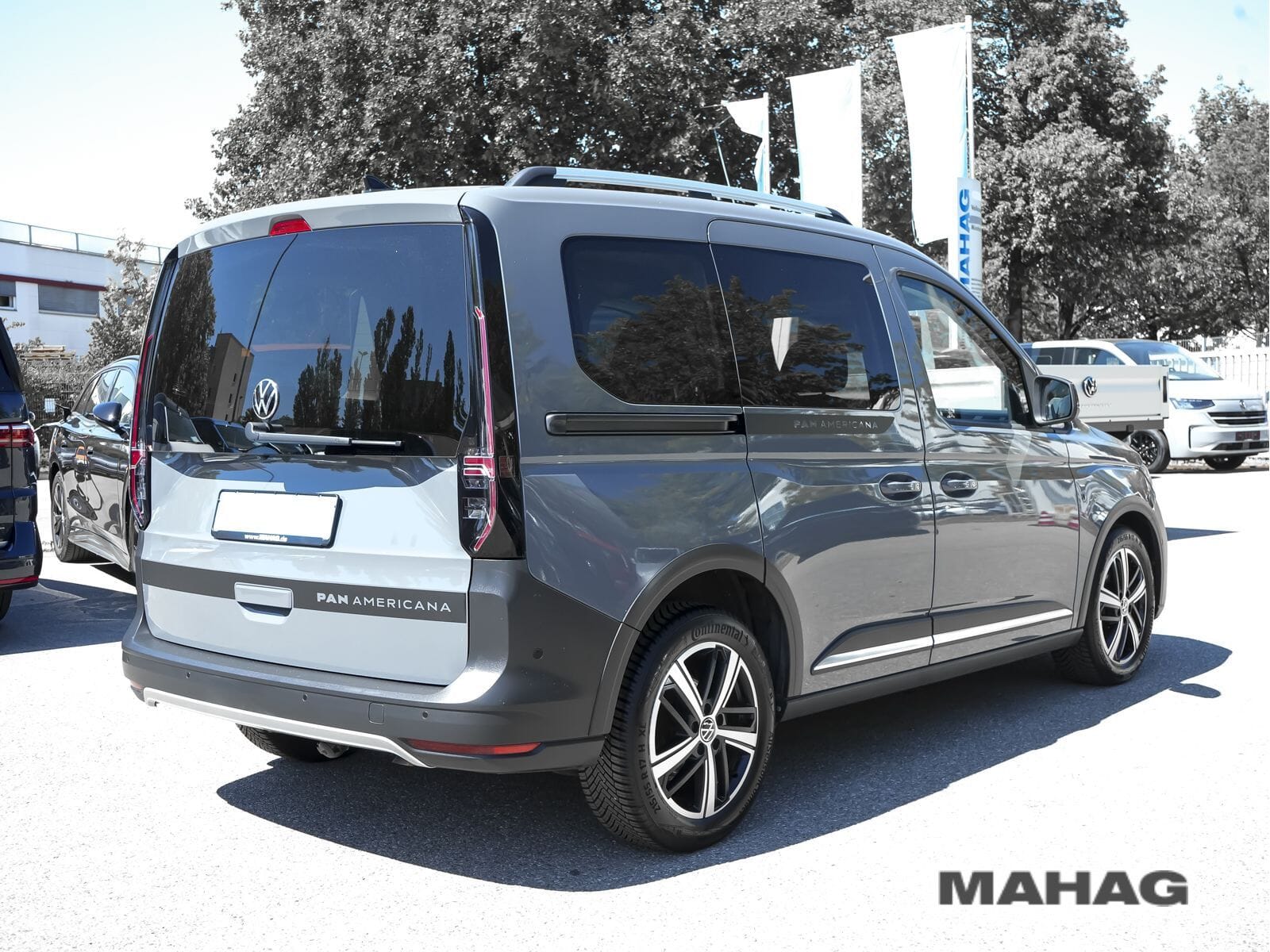 Fahrzeugabbildung Volkswagen Caddy Life Pan Americana